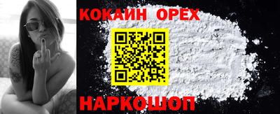 СК Новозыбков