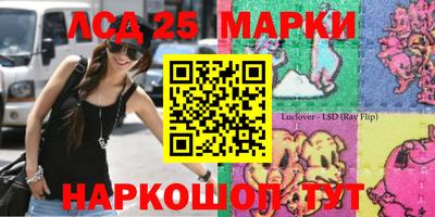 СК Новозыбков