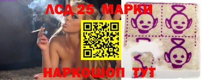 СК Новозыбков