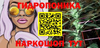 СК Новозыбков