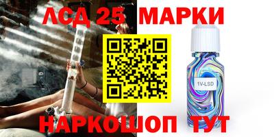 СК Новозыбков