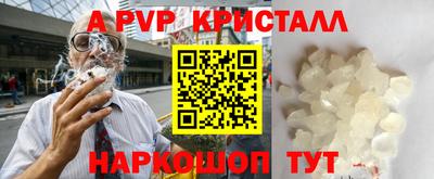 СК Новозыбков