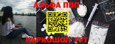 СК Новозыбков