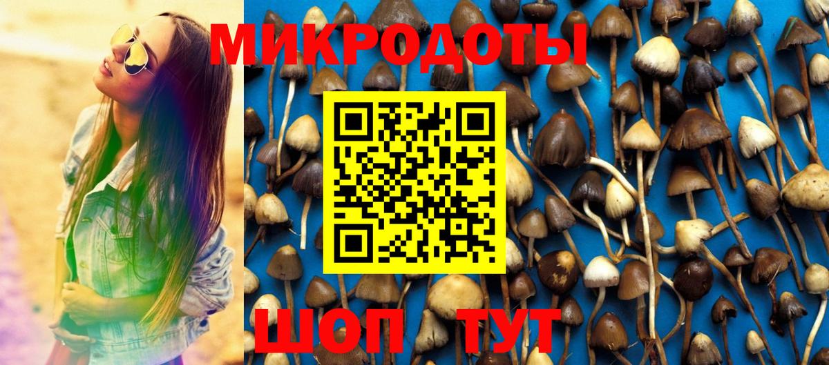 Псилоцибиновые грибы MAGIC MUSHROOMS  Галлюциногенные грибы мицелий  Спасск-Дальний  Вход с VPN 